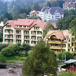 Historic Falken Hotel 3*