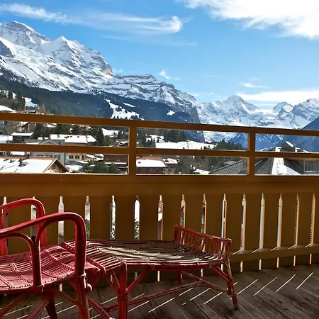 Hotel Historic Falken 3*