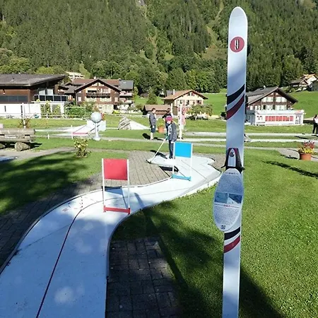 Historic Falken Wengen