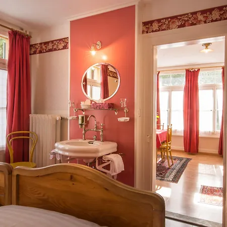 Otel Historic Falken 3*