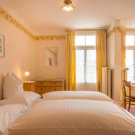 Otel Historic Falken