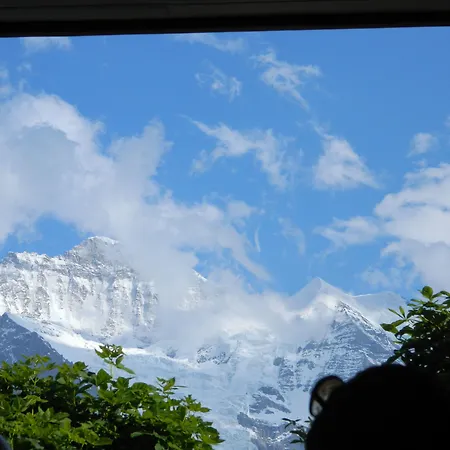 Historic Falken Wengen