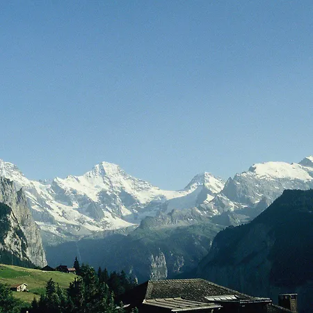Historic Falken 3* Wengen