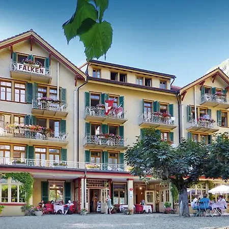 Historic Falken 3*