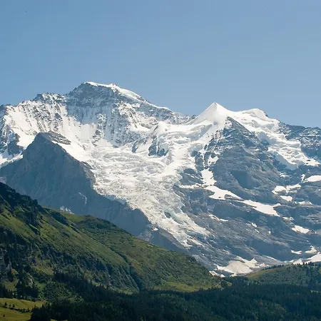 Otel Historic Falken