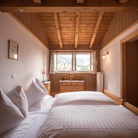 Otel Historic Falken Wengen