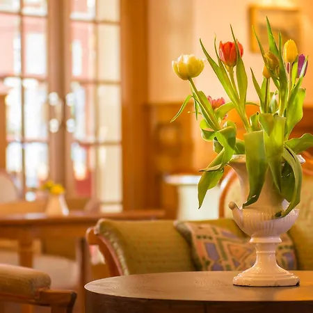 Historic Falken Hotel Wengen