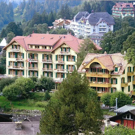 Hotel Historic Falken
