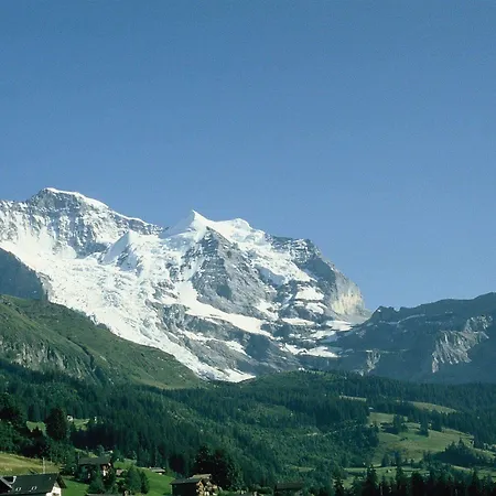 Historic Falken Wengen