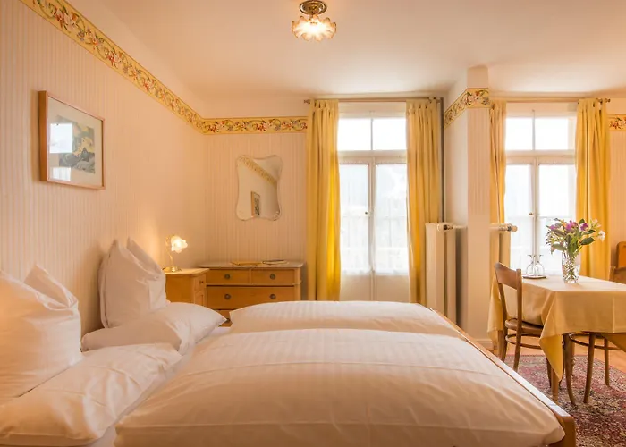 Hotel Historic Falken