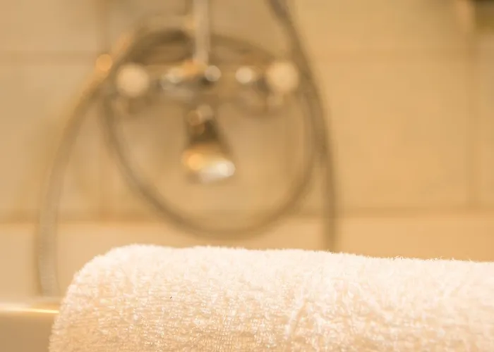 Historic Falken Wengen