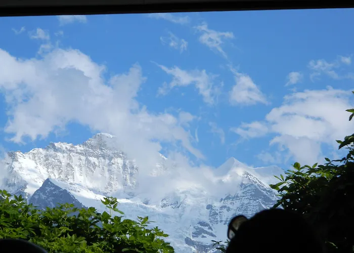 Historic Falken Wengen