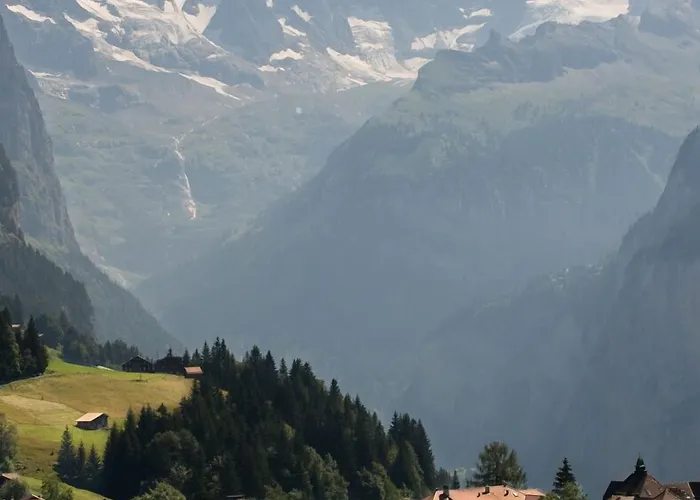 Hotel Historic Falken 3*