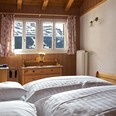 Hotel Historic Falken 3*