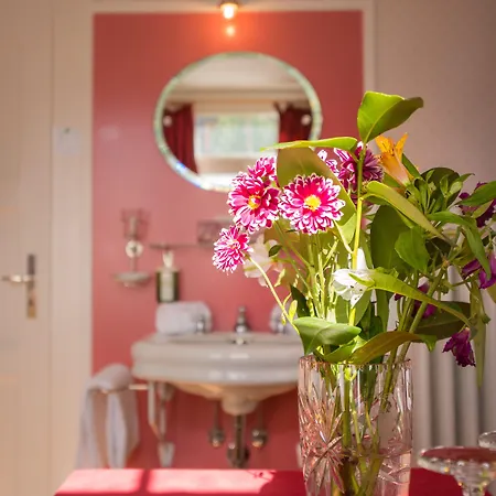 Historic Falken Венген