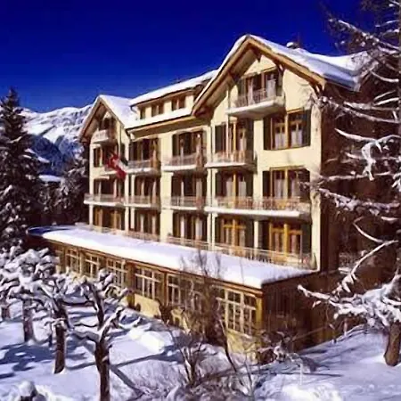 Hotel Historic Falken 3*