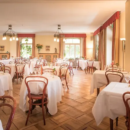 Hotel Historic Falken Wengen