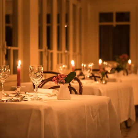 Historic Falken Wengen