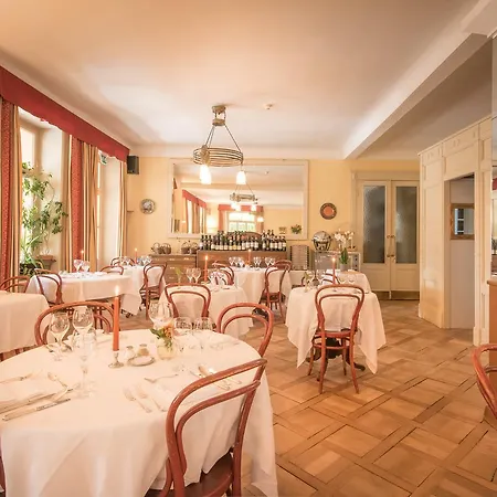 Hotel Historic Falken 3*