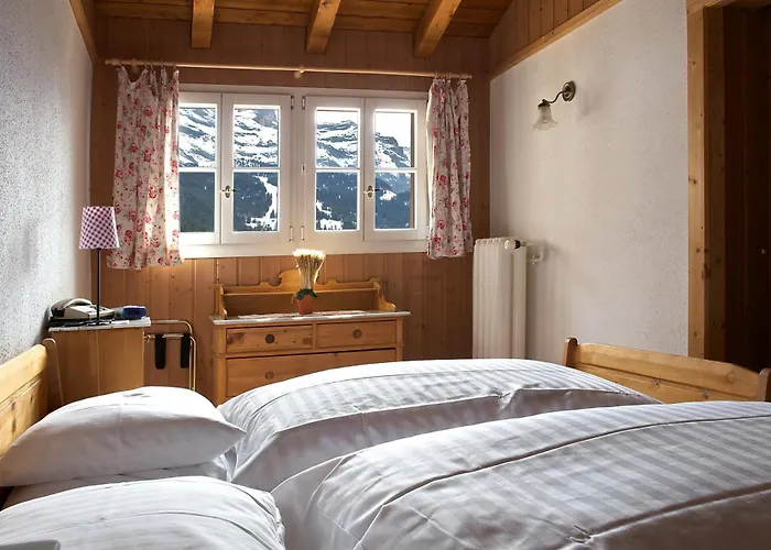 Hotel Historic Falken 3*