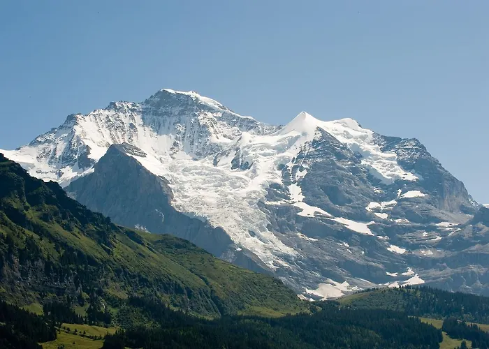 Hotel Historic Falken