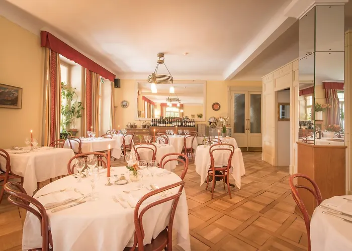 Hotel Historic Falken 3*